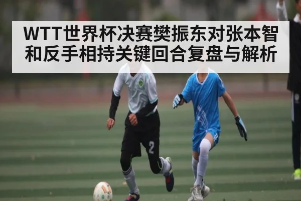 WTT世界杯决赛樊振东对张本智和反手相持关键回合复盘与解析